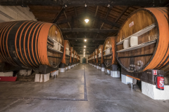 Noilly Prat's oldest Vats