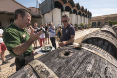 Noilly Prat's aging barrels
