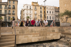 Shore visit to Narbonne