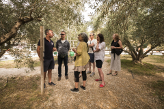 Athos Petanque Championships