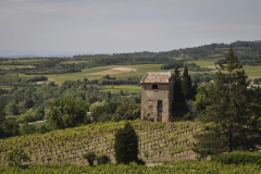 languedoc lanscape