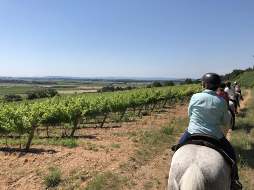 Family horseback riding