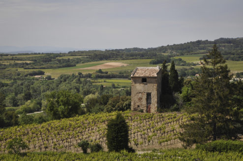 Languedoc landscape with stone mas and vineyards